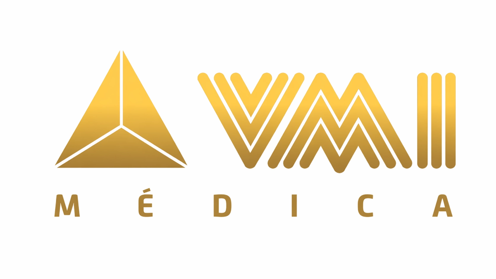 Logo de VMI