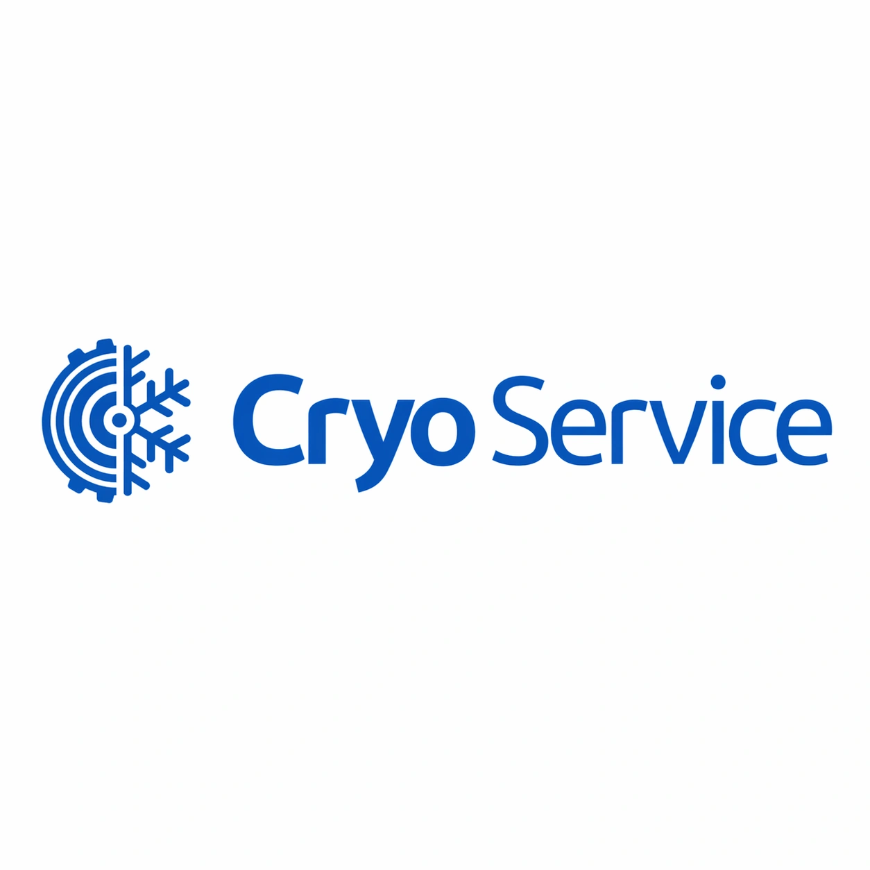 Logo de Cryoservice