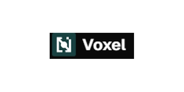 Voxel